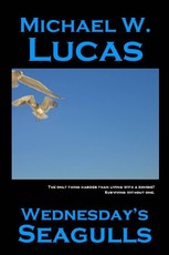 Wednesday's Seagulls