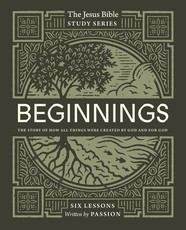Beginnings Bible Study Guide