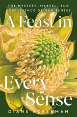 A Feast in Every Sense