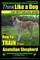Anatolian Shepherd, Anatolian Shepherd Training AAA Akc