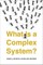 What Is a Complex System?
