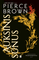 Auksinis sūnus