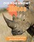 Did You Know? Rhino