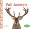 Fall Animals