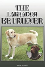 The Labrador Retriever