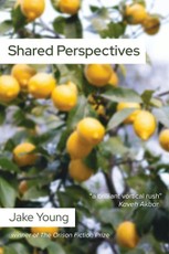 Shared Perspectives