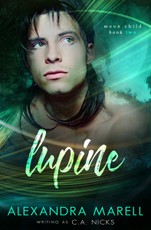 Lupine