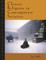 Chinese Religions in Contemporary Societies