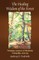 The Healing Wisdom of the Forest