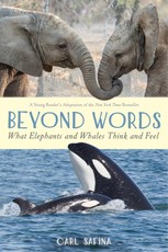 Beyond Words: What Elephants and Whales Think and Feel (A Young Reader's Adaptation)