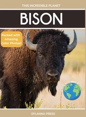 Bison