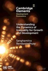 Understanding the Dynamics of Inequality for Growth and Development