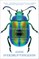 Extraordinary Insects