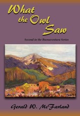 What the Owl Saw