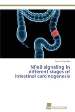 NFκB signaling in different stages of intestinal carcinogenesis