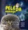 Pelėda nemiega