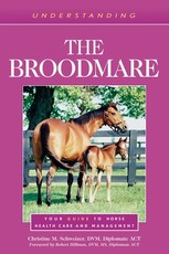 Understanding the Broodmare