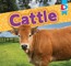 Cattle