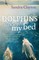 Dolphins Under My Bed
