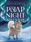 The Polar Night Adventure