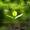What Makes a Plant a Plant? Structure and Defenses Science Book for Children | Children's Science & Nature Books