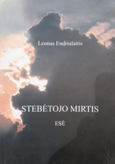 Stebėtojo mirtis