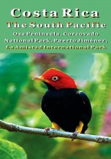 Costa Rica - The South Pacific