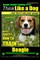 Beagle, Beagle Training AAA Akc