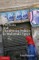 Elections and Distributive Politics in Mubarak's Egypt