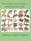 Terrestrial Land Animals 9