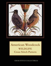American Woodcock