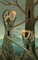 The Collected Stories