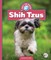 Shih Tzus
