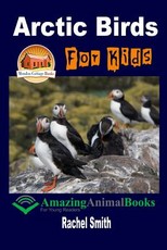 Arctic Birds For Kids