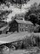 Lillibridge Houses, expanded version