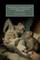 Evolution and Imagination in Victorian Children's Literature