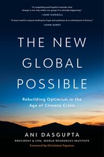 The New Global Possible