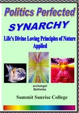 Politics Perfected - Synarchy