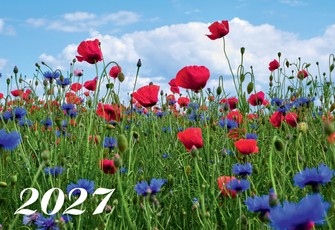 Sieninis kalendorius „Pieva“ 2027, 1 dalies
