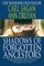 Shadows of Forgotten Ancestors