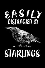 Easily Distracted By Starlings