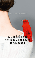 Aukščiau nei devintam danguj