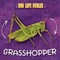 Grasshopper