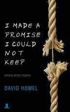 I Made a Promise I Could Not Keep