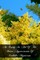 An Essay In Aid Of The Better Appreciation Of Catholic Mysticism