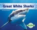 Great White Sharks