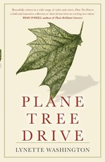 Plane Tree Drive