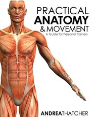 Practical Anatomy & Movement