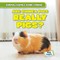 Are Guinea Pigs Really Pigs?