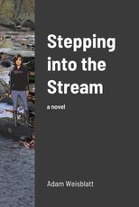 Stepping into the Stream